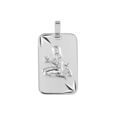 Pendentif en argent rhodi&eacute; plaque G.I diamant&eacute; &eacute;toil&eacute; zodiaque Vierge Artemare