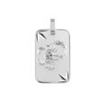 Pendentif en argent rhodi&eacute; plaque G.I diamant&eacute; &eacute;toil&eacute; zodiaque Scorpion
