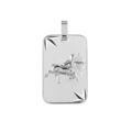Pendentif en argent rhodi&eacute; plaque G.I diamant&eacute; &eacute;toil&eacute; zodiaque Sagittaire Artemare