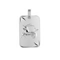 Pendentif en argent rhodi&eacute; plaque G.I diamant&eacute; &eacute;toil&eacute; zodiaque Capricorne