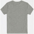 Tee-shirts enfants sur Grenoble : T-shirt enfant Geographical Norway T-shirt Enfant Gris