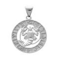 Pendentif en argent rhodi&eacute; m&eacute;daille zodiaque Cancer Artemare