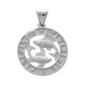 Pendentif en argent rhodi&eacute; m&eacute;daille zodiaque Poissons