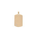 Pendentif en plaqu&eacute; or plaque G.I 20*11mm &agrave; graver avec oxyde blanc serti