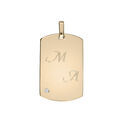 Pendentifs sur Artemare : Pendentif en plaqu&eacute; or plaque G.I 25*14mm &agrave; graver avec oxyde blanc serti