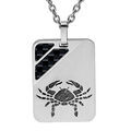 Collier en acier cha&icirc;ne avec pendentif rectangulaire zodiaque Cancer 2 bandes carbone 50+5cm