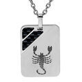 Collier en acier cha&icirc;ne avec pendentif rectangulaire zodiaque Scorpion 2 bandes carbone 50+5cm Artemare