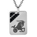 Collier en acier cha&icirc;ne avec pendentif rectangulaire zodiaque Capricorne 2 bandes carbone 50+5cm