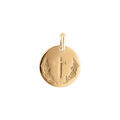 Pendentif plaqu&eacute; or m&eacute;daille ronde 15mm avec croix et rameau