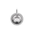 Pendentifs sur Artemare : Pendentif en argent rhodi&eacute; m&eacute;daille 15mm zodiaque cancer