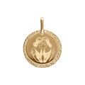 Pendentifs sur Artemare : Pendentif en plaqu&eacute; or m&eacute;daille 15mm zodiaque gemeaux