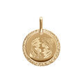 Pendentif en plaqu&eacute; or m&eacute;daille 15mm zodiaque poisson