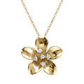 Collier en argent dor&eacute; fleur et oxydes blancs sertis 40+5cm