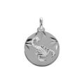 Pendentif en argent rhdoie m&eacute;daille 15mm diamant&eacute;e zodiaque scorpion