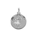 Pendentif en argent rhdoie m&eacute;daille 15mm diamant&eacute;e zodiaque sagittaire Artemare