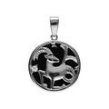 Pendentifs sur Artemare : Pendentif en argent rhodi&eacute; m&eacute;daille 15mm, onyx noir imitation, zodiaque capricorne et un oxyde blanc