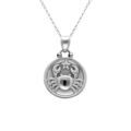 Colliers sur Artemare : Collier en acier avec m&eacute;daille 15mm zodiaque cancer recto verso constellation, 40+10cm