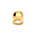 Bagues sur Artemare : Bague en acier dor&eacute; incurv&eacute;e