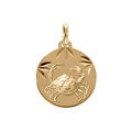 Pendentif en plaqu&eacute; or m&eacute;daille 15mm diamant&eacute; zodiaque cancer