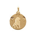 Pendentif en plaqu&eacute; or m&eacute;daille 15mm diamant&eacute; zodiaque lion