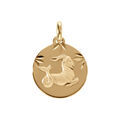 Pendentif en plaqu&eacute; or m&eacute;daille 15mm diamant&eacute; zodiaque capricorne