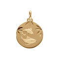 Pendentif en plaqu&eacute; or m&eacute;daille 15mm diamant&eacute; zodiaque poisson Artemare