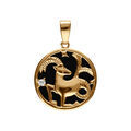 Pendentifs sur Artemare : Pendentif en plaqu&eacute; or m&eacute;daille 15mm, onyx noir imitation, zodiaque capricorne et un oxyde blanc