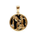 Pendentifs sur Artemare : Pendentif en plaqu&eacute; or m&eacute;daille 15mm, onyx noir imitation, zodiaque verseau et un oxyde blanc
