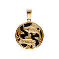 Pendentif en plaqu&eacute; or m&eacute;daille 15mm, onyx noir imitation, zodiaque poissons et un oxyde blanc