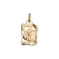 Pendentif en vermeil massif brillant et sable grand parchemin capricorne