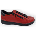 Baskets Ara 34432