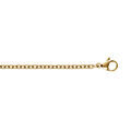 Cha&icirc;ne en acier dor&eacute; maille for&ccedil;at 2.3mm - 50cm