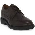Chaussures NeroGiardini NERO GIARDINI 301 KENIA CAFFE