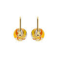 Boucles d'oreille Stella Mia en acier dor&eacute; anneau r&eacute;sine orang&eacute;