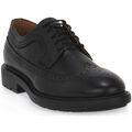 Chaussures de ville homme sur Grenoble : Mocassins NeroGiardini NERO GIARDINI 100 ILCEA NERO