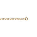 Chaine sur Artemare : Cha&icirc;ne en vermeil maille for&ccedil;at 2,70mm --50cm