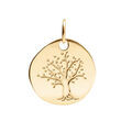 Pendentif en vermeil galet arbre de vie Artemare
