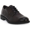 Baskets homme sur Grenoble : Baskets Bugatti BUGATTI SHOES 6100 PAKALO