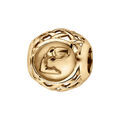 Charms coulissant en vermeil zodiaque verseau