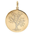 Pendentifs sur Artemare : Pendentif en vermeil arbre de vie - 20mm