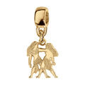Bracelets sur Artemare : Charms coulissant en vermeil zodiaque decoupe gemeau