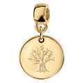 Bracelets sur Artemare : Charms coulissant en vermeil rond arbre de vie