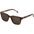 Lunettes sur Grenoble : Lunettes de soleil Lozza SL4283 RIMINI 4 Lunettes de soleil, Havana/Marron, 51 mm
