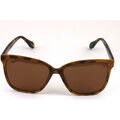 Lunettes de soleil Exit EXS060 Lunettes de soleil, Havana, 56 mm Grenoble