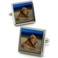 Boutons de manchette sur Grenoble : Boutons de manchettes Robert Charles Boutons de manchette Lion Marron