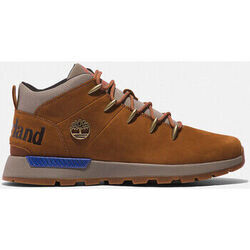 Baskets Timberland Sptk mid lace sneaker