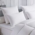 Coreme Oreiller Dodo Microstar