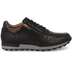 Baskets Kangaroos -