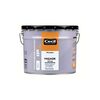 CECIL PROFESSIONNEL Primaire fa&ccedil;ade ipf blanc supports neufs ou sains acrylique soign&eacute; brosse/rouleau, pistolet sans air 24 heure(s) eau blanc 4 heure(s) primaire fa&ccedil;ade