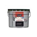 CECIL PROFESSIONNEL Peinture fa&ccedil;ade pef plio peinture fa&ccedil;ade piolite ton pierre supports neufs ou sains 12 heure(s) white spirit soign&eacute; brosse/rouleau, pistolet sans air